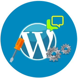 The importance of WordPress site support