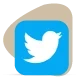 Twitter Management